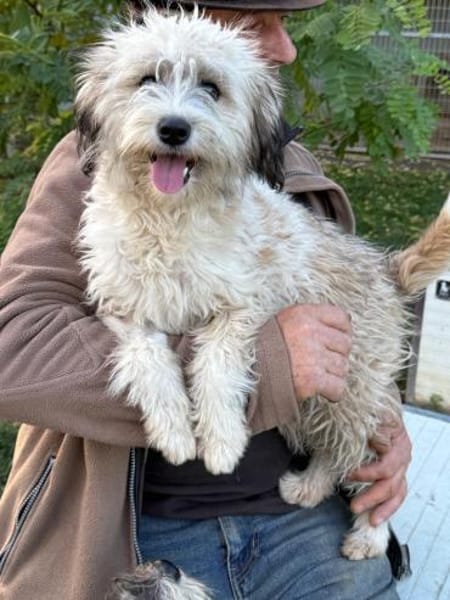 Ich heiße Mimoo .... mit Video