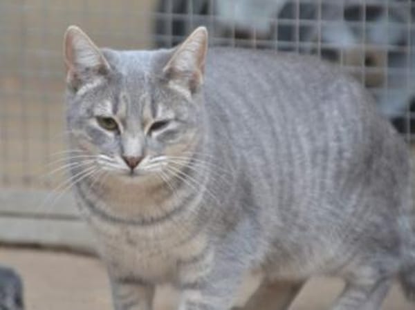 Tania braucht Geduld und Geborgenheit,