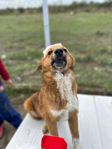 Moritz, klein, schnuckelig, sucht