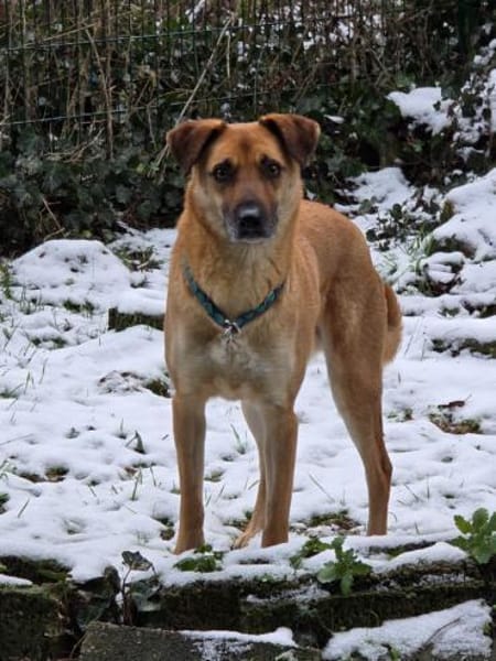 Roxy sportlich kompetent - Mit 🐶Kumpel