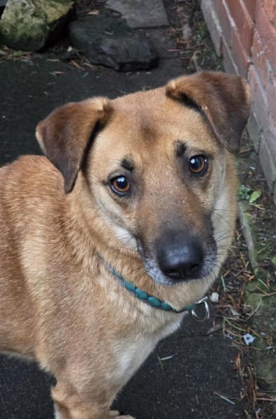 Roxy sportlich kompetent - Mit 🐶Kumpel