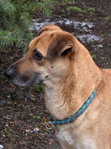 Roxy sportlich kompetent - Mit 🐶Kumpel