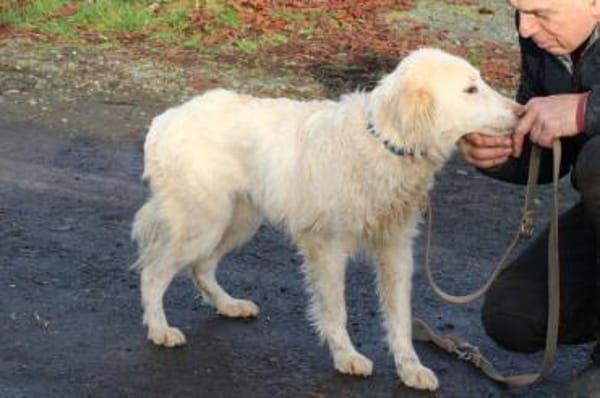 Nuemi - zutraulich u. verspielt