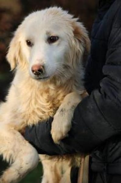 Nuemi - zutraulich u. verspielt