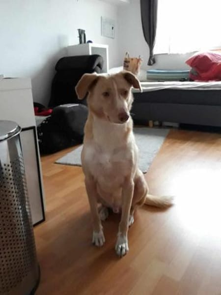 ‼Sensibler CREAM sucht ♥🆘🆘🆘