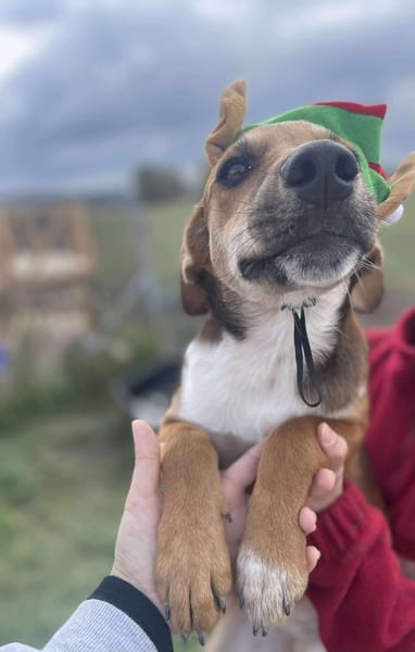 Mandy, klein, zart sucht Liebe