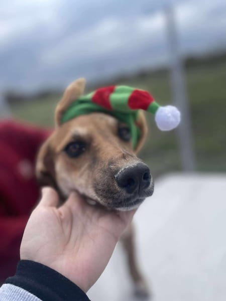 Mandy, klein, zart sucht Liebe