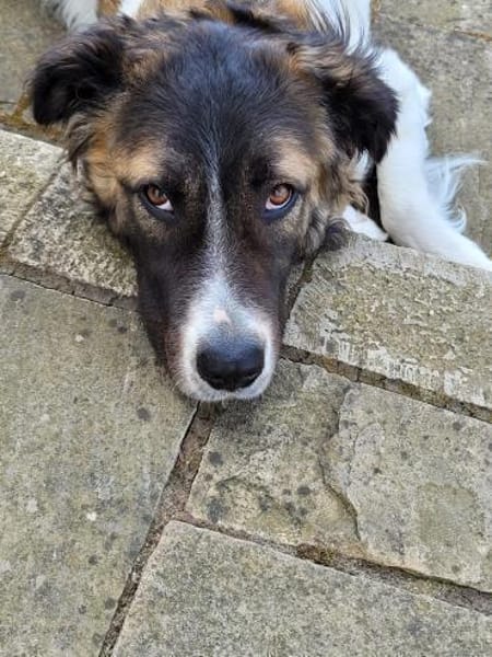 Süße Betty sucht souveräne Menschen