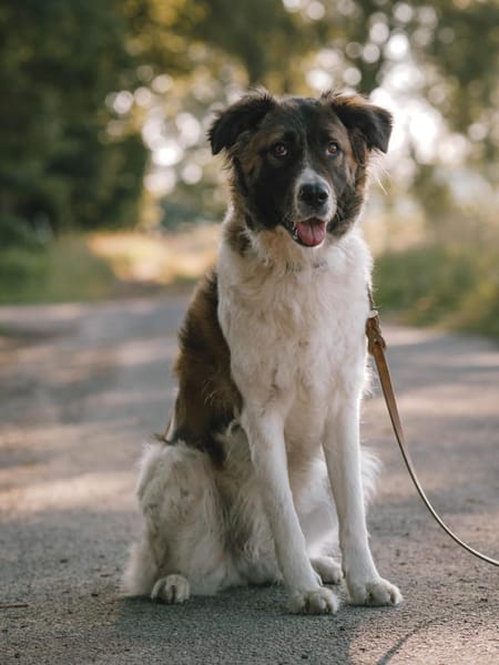 Süße Betty sucht souveräne Menschen