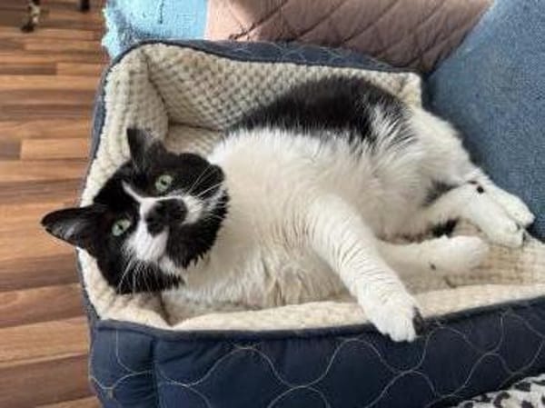 Knut - Fiverling sucht sein Happy End