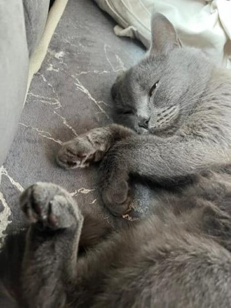 Süße Ella sucht neues Zuhause