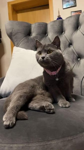 Süße Ella sucht neues Zuhause