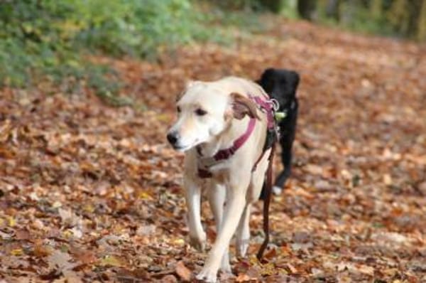 OliviaCarina - wartet in 53343 Wachtberg