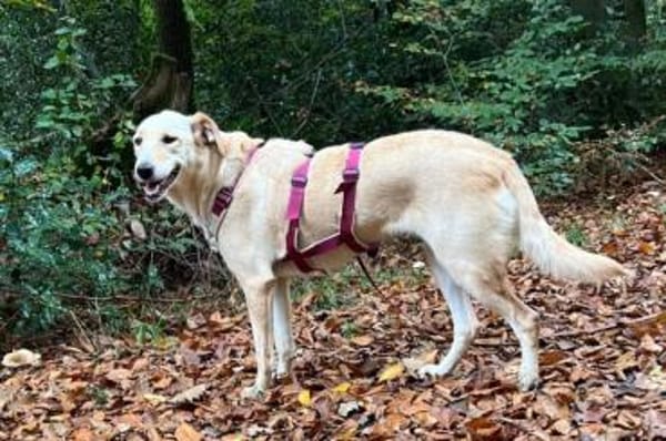 OliviaCarina - wartet in 53343 Wachtberg