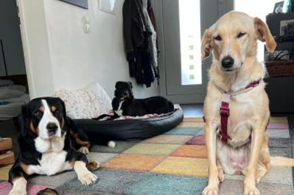 OliviaCarina - wartet in 53343 Wachtberg