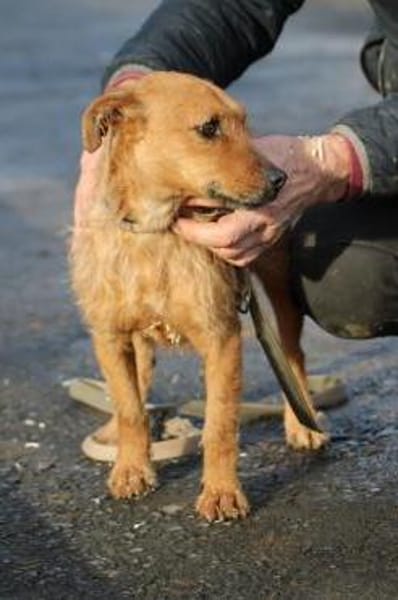 Turia - aufgeweckt u. unkompliziert