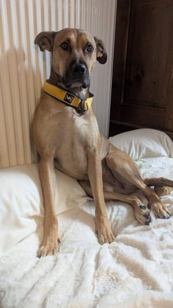 💙 REY 💙 - AUF PS IN DEUTSCHLAND