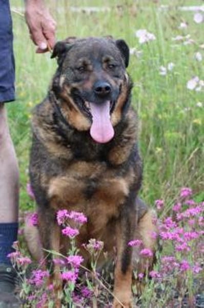 Yona - ein echter Prachtkerl!