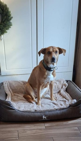 Calima:traut sich auch zu Anfängern