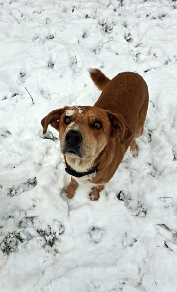 Calima:traut sich auch zu Anfängern