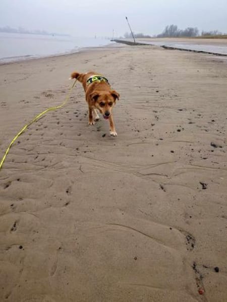 Calima:traut sich auch zu Anfängern