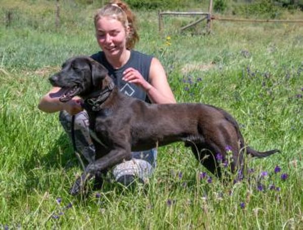 Jack wartet in Süddeutschland