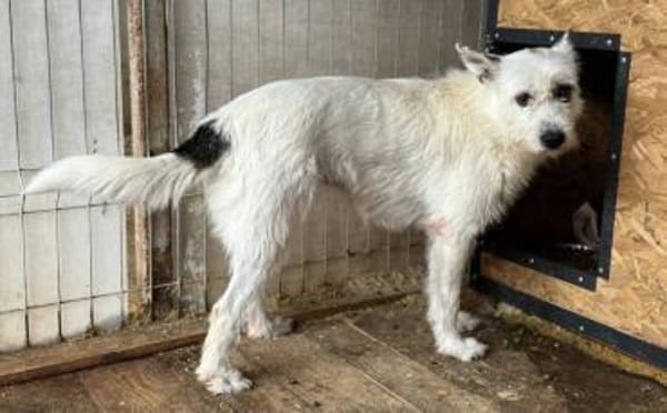 Zarte Pauline sucht Sicherheit und Liebe