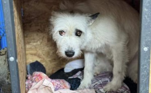 Zarte Pauline sucht Sicherheit und Liebe