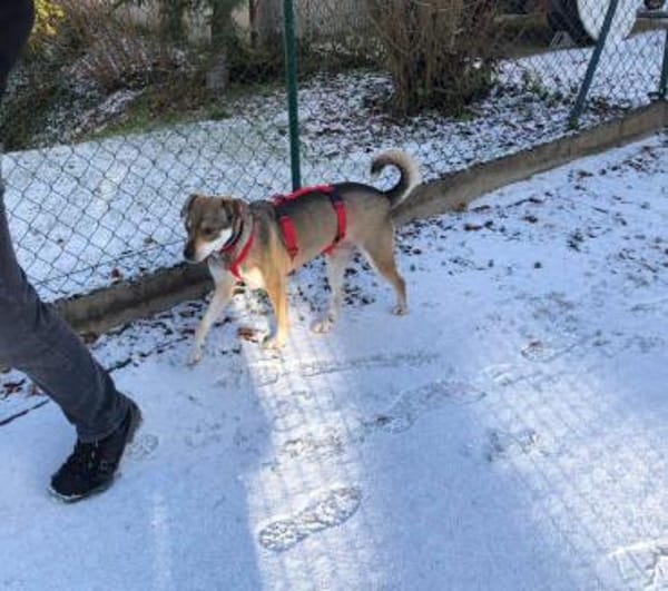 tolle Emma auf PS in 96120 Bischberg