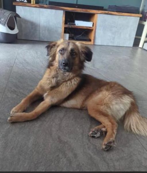 Nunzia braucht Ihre Unterstützung 💚