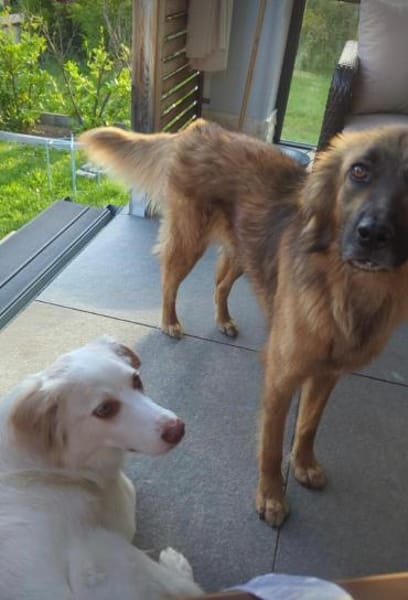 Nunzia braucht Ihre Unterstützung 💚