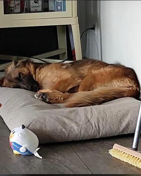 Nunzia braucht Ihre Unterstützung 💚