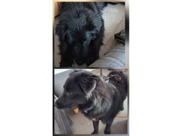 Pipinka- wartet in 76189 Karlsruhe