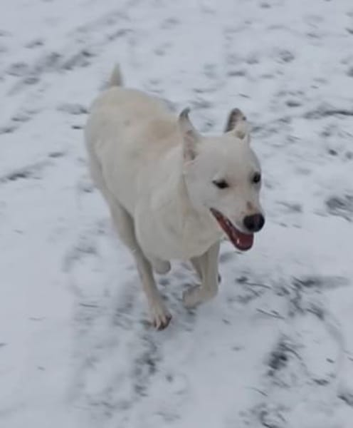 Mimmo aufgeschlossen und neugierig