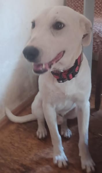 Mimmo aufgeschlossen und neugierig