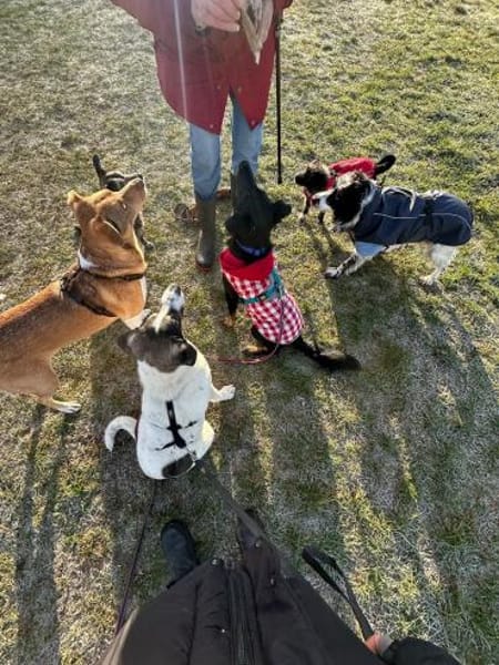 Pam - 55122 Mainz - aufgeschlossen