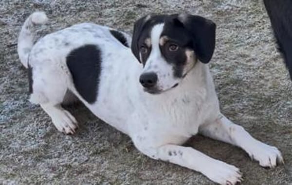 Pearl - 68799 Reilingen - verzaubert