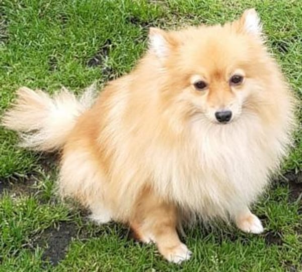 Kessy in 27478 Cuxhaven #