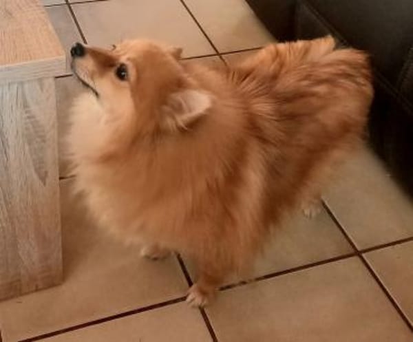 Kessy in 27478 Cuxhaven #