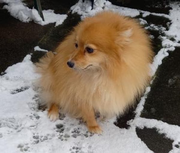 Kessy in 27478 Cuxhaven #