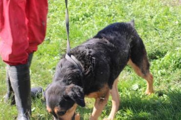 Mac - ❤besonders lieb u. angenehm❤