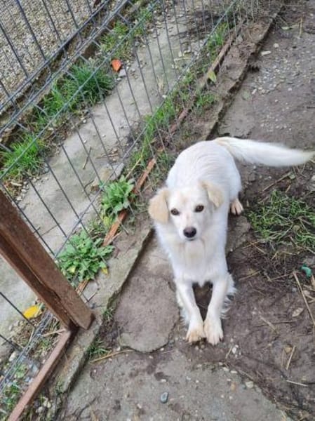 Kleine, liebenswerte Sorana sucht