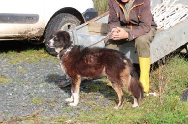 Tayto - zutraulich u. unkompliziert