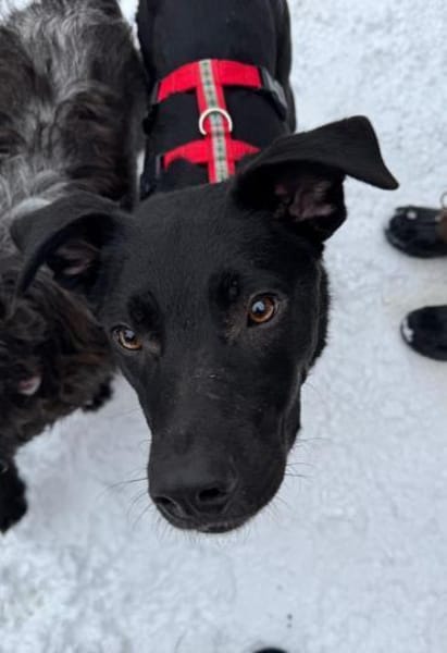 Sportliche Mary sucht ein Zuhause