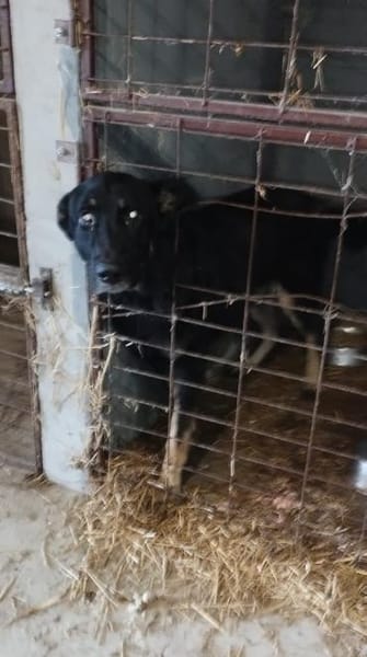 Freddy braucht euch dringend