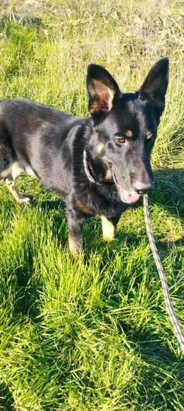 Freddy braucht euch dringend