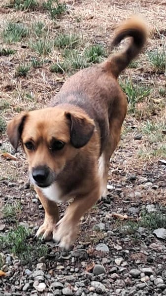 Bolek, liebenswerter Charmeur