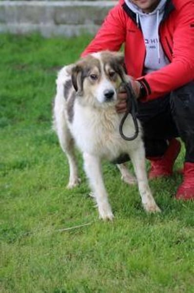 Niti - liebenswert u. angenehm