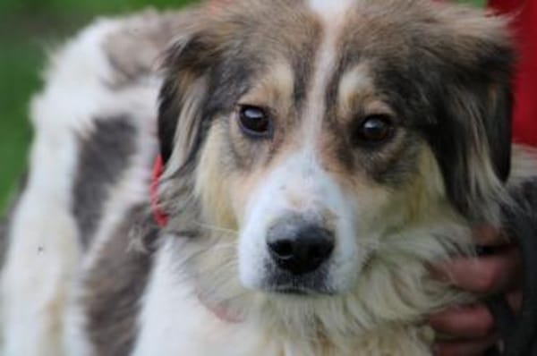 Niti - liebenswert u. angenehm