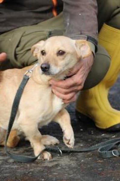 Kiani - verschmust u. sehr lieb